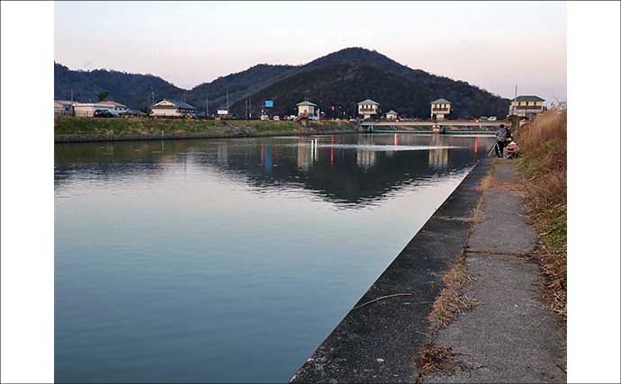 「実は超美味な淡水の小魚」琵琶湖でホンモロコを釣ろう【タックル・仕掛け・釣り方を解説】