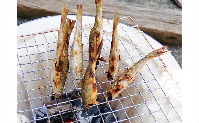 「実は超美味な淡水の小魚」琵琶湖でホンモロコを釣ろう【タックル・仕掛け・釣り方を解説】