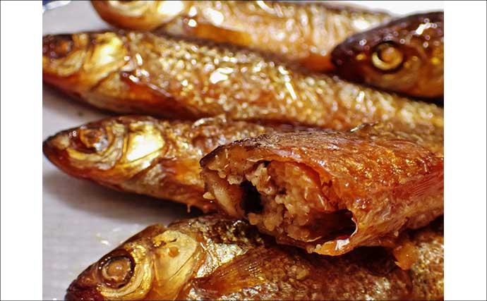 「実は超美味な淡水の小魚」琵琶湖でホンモロコを釣ろう【タックル・仕掛け・釣り方を解説】