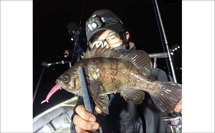 スロージギング船で高級レア魚『アラ』が船中9匹！【沖釣り釣果速報6選・北陸】
