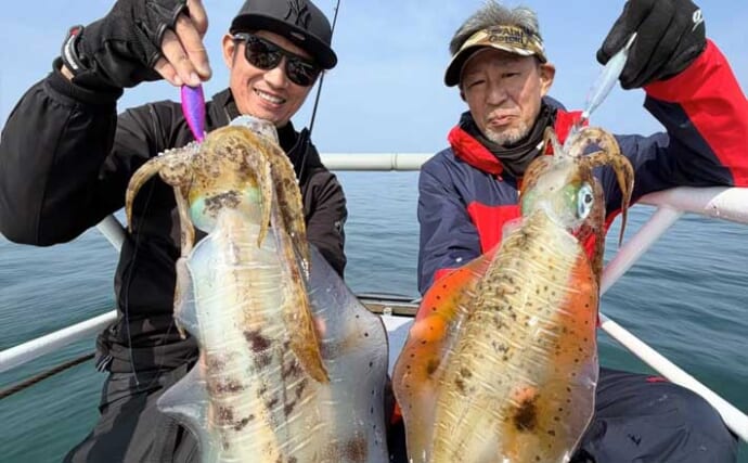 2kg級の大型アオリイカ乱舞！春のティップランエギング絶好調【オフショアルアー最新釣果9選・三重】