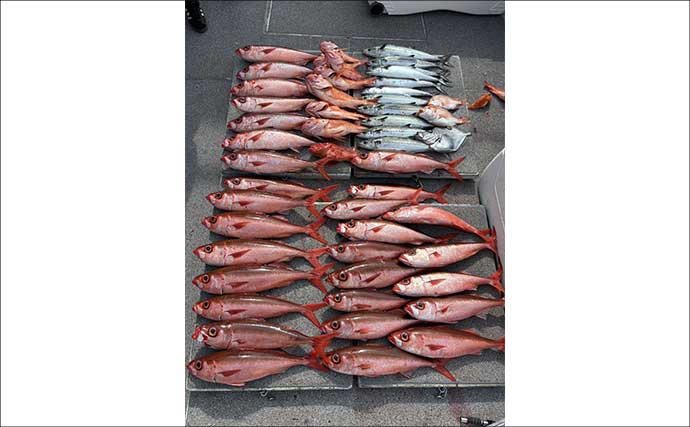 2kg級の大型アオリイカ乱舞！春のティップランエギング絶好調【オフショアルアー最新釣果9選・三重】