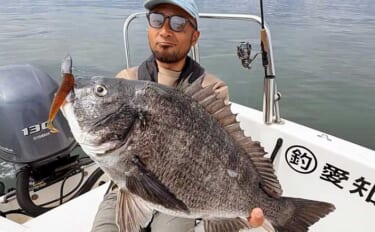 ボトムワインドで良型クロダイにマゴチが好反応中！【オフショアルアー釣果…