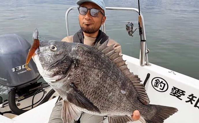 ボトムワインドで良型クロダイにマゴチが好反応中！【オフショアルアー釣果8選・愛知】