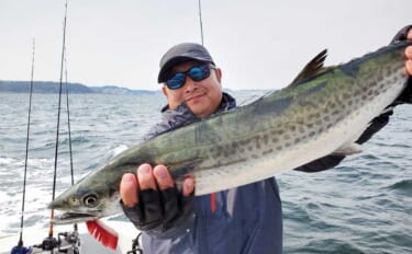 東京湾で80cm級「極太」サワラがヒット！【けやき丸】エギングにはシリ…
