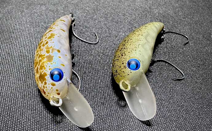 春のエリアトラウトを楽しもう！　代表的なルアー3種を解説