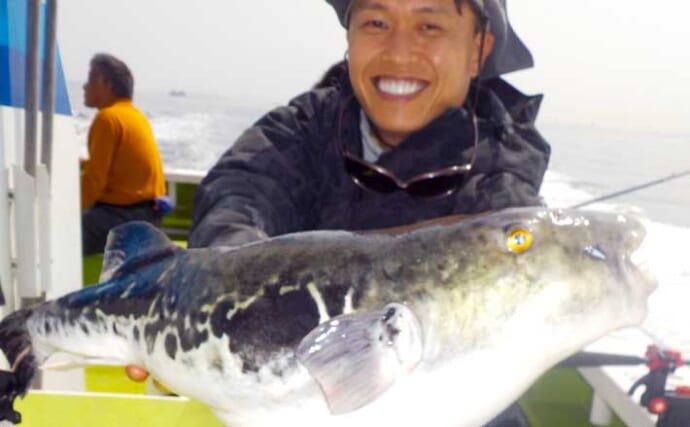 東京湾トラフグ釣りで4.5kg本命堂々浮上【忠彦丸・神奈川】水温低下の食い渋りで苦戦