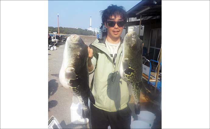 東京湾トラフグ釣りで4.5kg本命堂々浮上【忠彦丸・神奈川】水温低下の食い渋りで苦戦