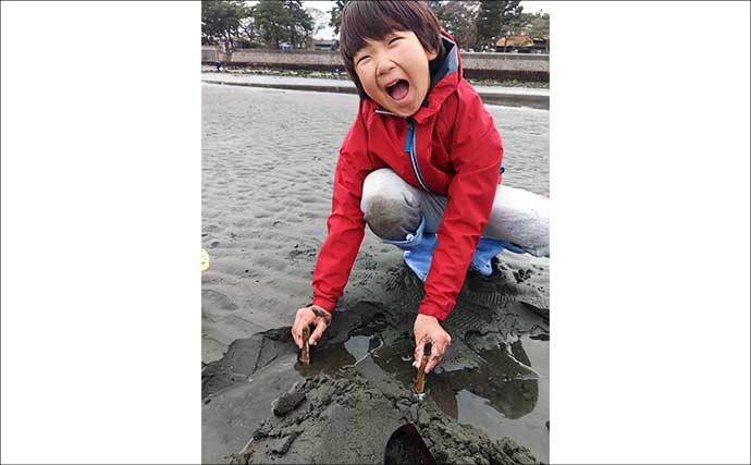 横浜での潮干狩りでマテ貝125本をゲット！【野島海岸】アサリは見つけられず