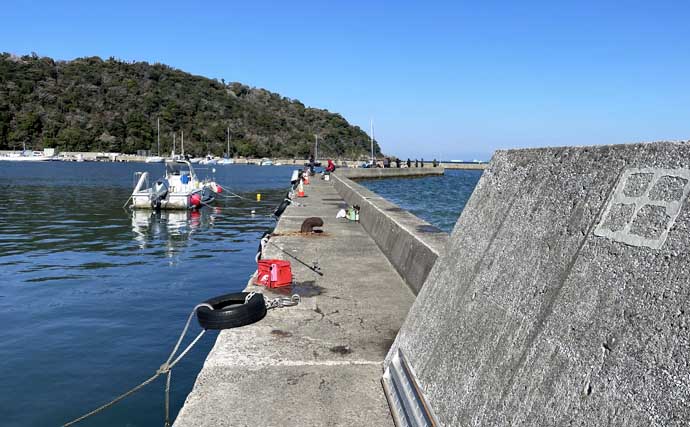 南房エリアで陸っぱりカマス釣り【千葉】サビキとワームにヒットも数は伸びず