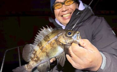東京湾のボートメバリング釣行で20cm級メバル登場！カサゴも好反応