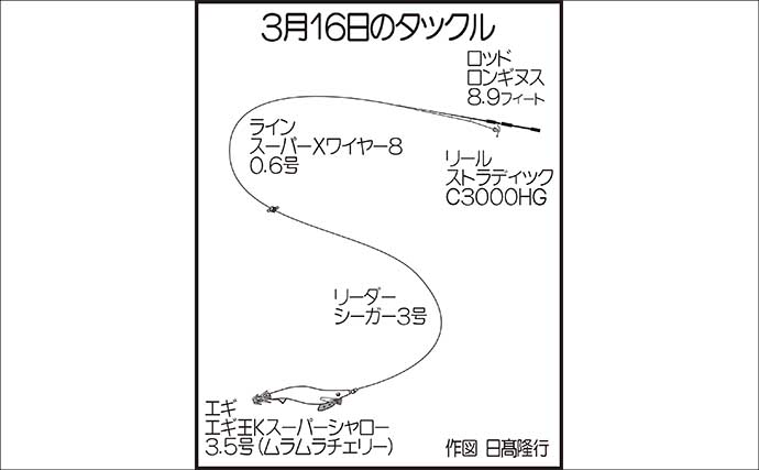 砂利浜でのエギングで1kgアップの春アオリイカをキャッチ！【熊本】