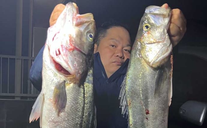 「ベイトの小魚が接岸中！」陸っぱりルアー釣りで良型シーバス連打【福岡】