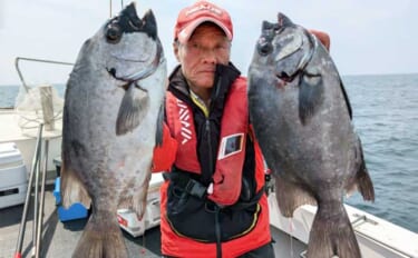 良型イシダイが好ヒット！ゲスト交じりに石鯛五目便が好調【船釣り最新情報…