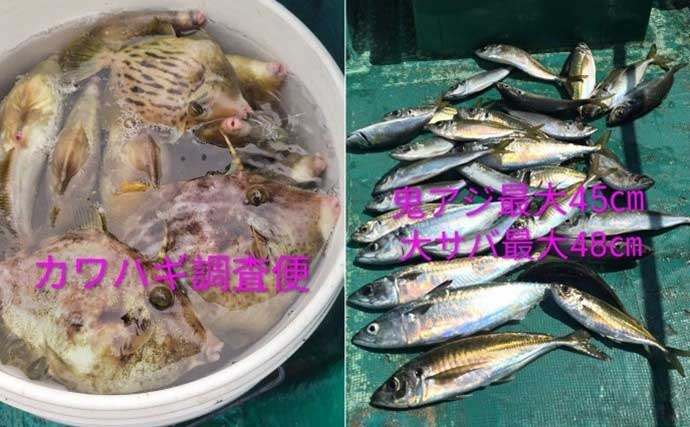 ジギングでブリが連発！釣る人8匹と爆釣！　関西エリアの【船釣り特選釣果】