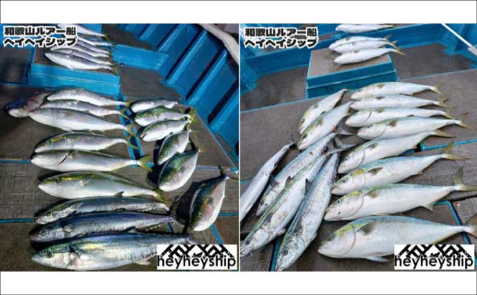 ジギングでブリが連発！釣る人8匹と爆釣！　関西エリアの【船釣り特選釣果】