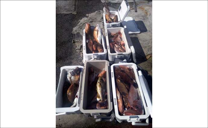 ジギングでブリが連発！釣る人8匹と爆釣！　関西エリアの【船釣り特選釣果】