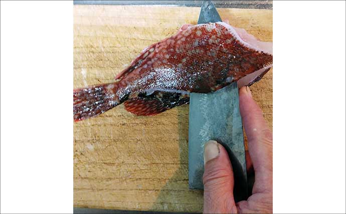 釣魚で作る「酢を使った健康」レシピ：アラカブの酢洗い　市販のガリと一緒に