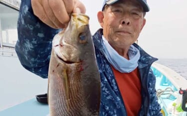 シーズン最中の大山沖イサキ釣りで40cm頭に本命8匹キャッチ【武丸・愛…