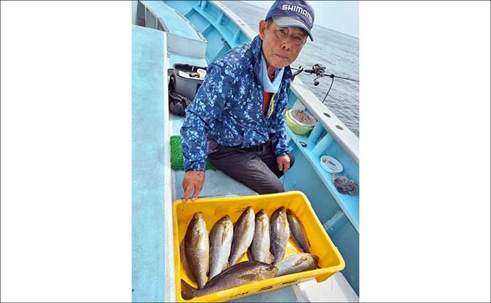 シーズン最中の大山沖イサキ釣りで40cm頭に本命8匹キャッチ【武丸・愛知】