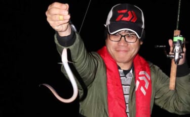 「シーズン到来！」夜の堤防でアナゴを釣ろう【タックル・エサ・釣り方を解…