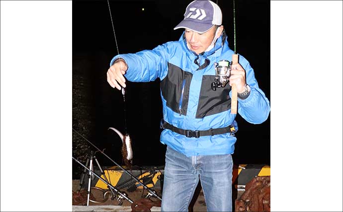 「シーズン到来！」夜の堤防でアナゴを釣ろう【タックル・エサ・釣り方を解説】