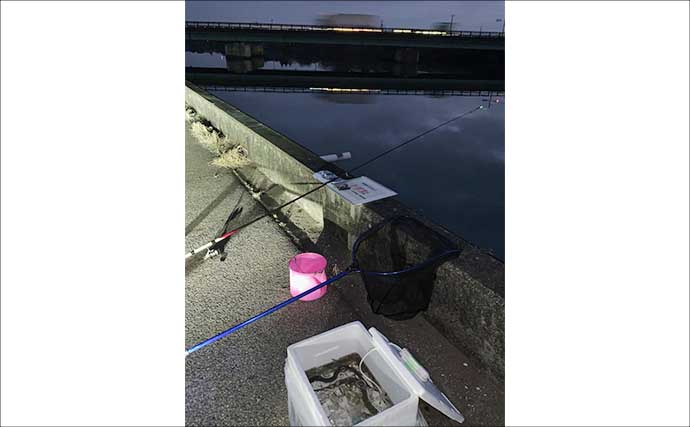 河川でのブッコミ釣りで60cm超え「天然ウナギ」キャッチに成功！【筏川・愛知】