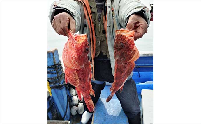 鳥羽沖で食べごろサイズのトラフグが好反応！【船のエサ釣り釣果速報6選・三重】