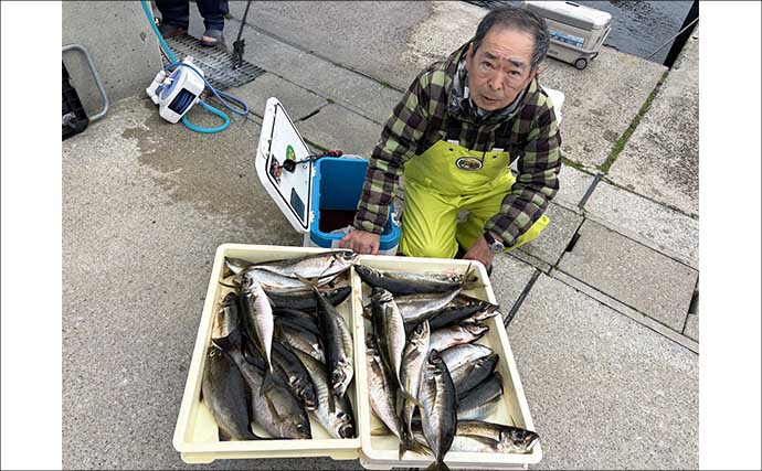 最大42cm！ジャンボイサキが荒食い！【船のエサ釣り釣果速報9選・愛知】