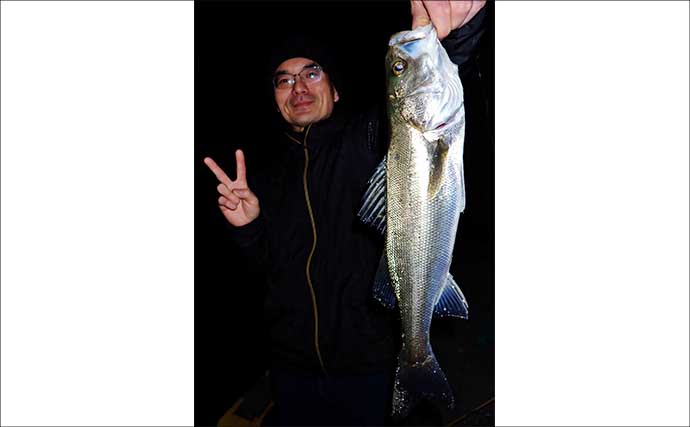 夜の堤防ルアー釣りで51cm良型シーバス好捕【四日市港・三重】カサゴは連発！