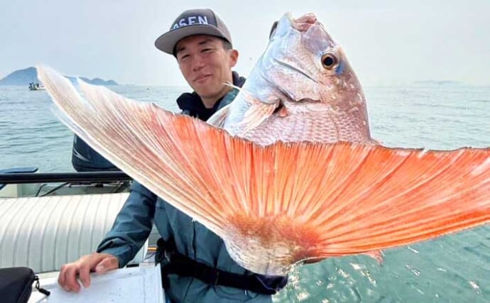 伊勢湾タイラバゲームでマダイ5匹キャッチ【愛知】赤色の細カーリーのネクタイに好反応