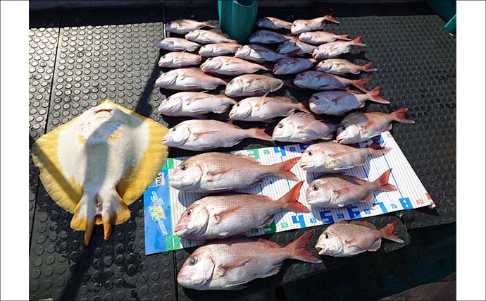 「これからがシーズン本番！」鳥羽沖タイラバ釣行でマダイ好捕【フィッシュハンター・三重】