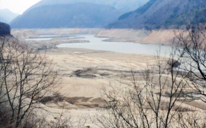 渓流ルアー釣りでニジマス・イワナ・ヤマメと対面成功【荘川・岐阜】