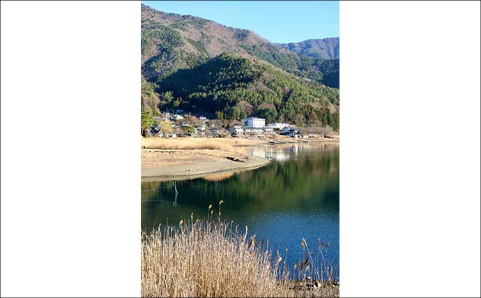 今週のヘラブナ「ピックアップ」釣り場2026【山梨・河口湖】