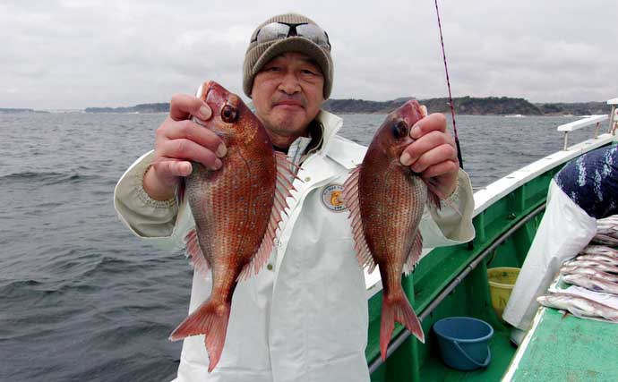 久里浜沖コマセマダイ釣りでトップ16尾と大爆釣！【神奈川】