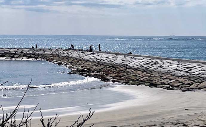 堤防ウキ釣りでサヨリ14尾を手中【興津港・千葉】まきエサが逆効果になる場面も