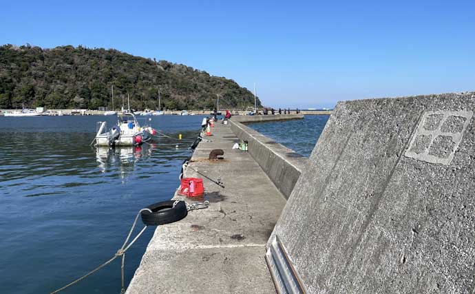 100均のワームでカマス7尾を手中！【富浦新港・千葉】ライトゲームで挑戦