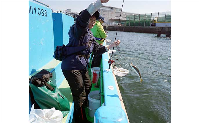 「早起きしなくてもアジが釣れる！」東京湾の午後LTアジで数釣り堪能【一之瀬丸】