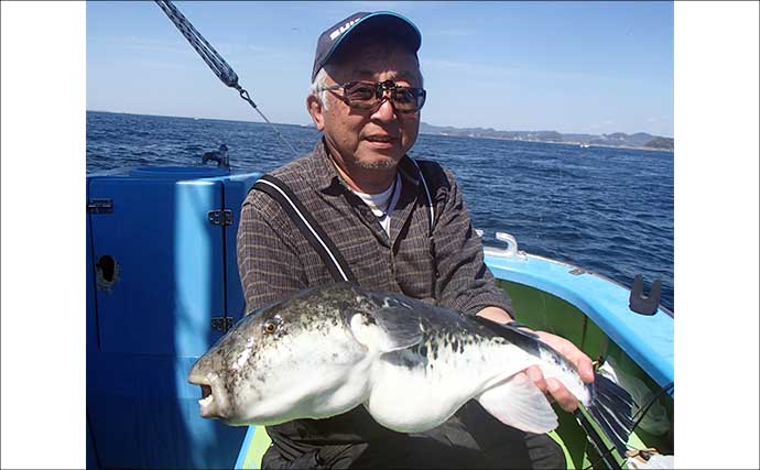 東京湾で大人気のトラフグを狙う【一之瀬丸】船中3.7kgの良型顔出しもヒットは単発