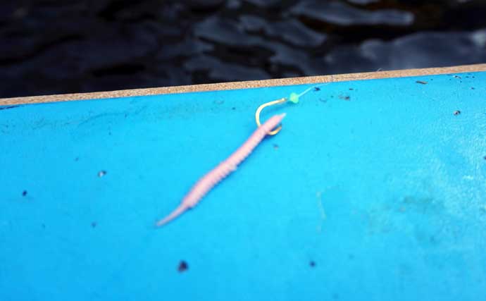 「早起きしなくてもアジが釣れる！」東京湾の午後LTアジで数釣り堪能【一之瀬丸】