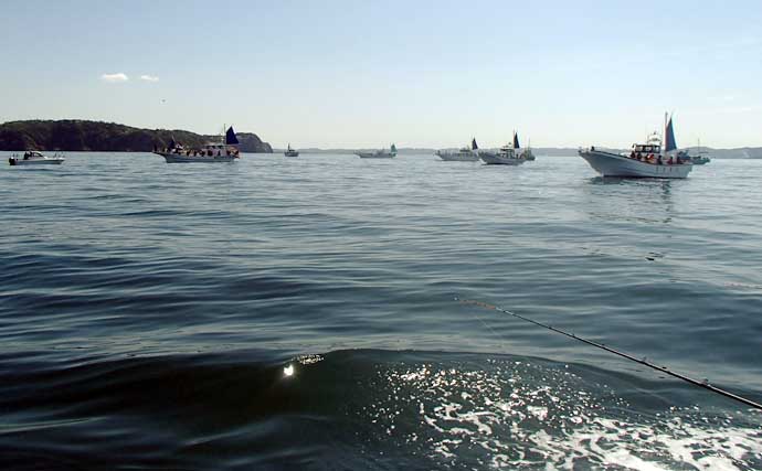 東京湾で大人気のトラフグを狙う【一之瀬丸】船中3.7kgの良型顔出しもヒットは単発