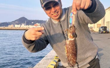 「ズル引きするだけでOK！」陸っぱりコウイカ釣りで本命3匹キャッチに成…
