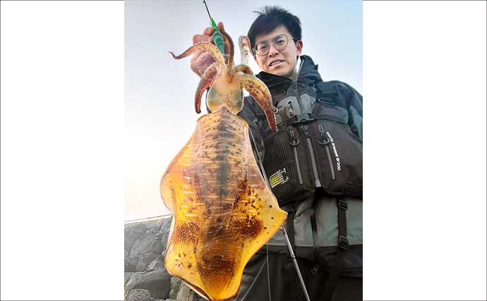 波止エギングで900g筆頭にアオリイカ2尾のキャッチに成功！【西海・長崎】