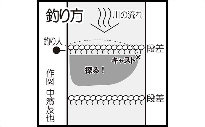 日野川での渓流ルアー釣りで25cm良型ヤマメをキャッチ！【鳥取】ミノーにヒット