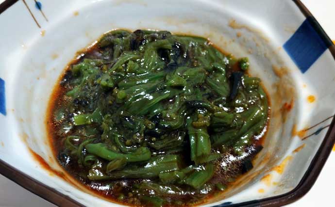 「釣魚より家族に喜ばれるかも？」渓流釣り場で採れる野草3選【ヨモギ・ユキノシタ・わらび】