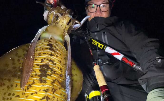 「春は大型アオリイカの季節！」ナイト＆デイエギングそれぞれの基本戦略を徹底解説