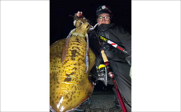 「春は大型アオリイカの季節！」ナイト＆デイエギングそれぞれの基本戦略を徹底解説