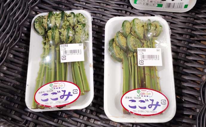 もはや「野菜級に美味しい野草」3選　渓流釣りついでにゲットしよう！