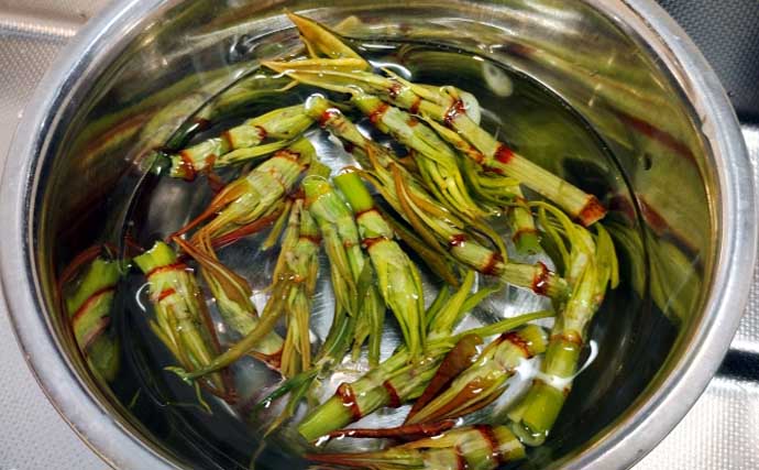 もはや「野菜級に美味しい野草」3選　渓流釣りついでにゲットしよう！
