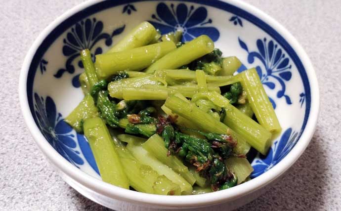 もはや「野菜級に美味しい野草」3選　渓流釣りついでにゲットしよう！